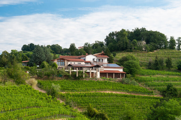Azienda Muzic - San Floriano Azienda Muzic - San Floriano